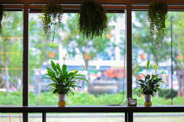 Importance et Impact de la Formation Sociale : Pourquoi S'engager Est-Ce Incontournable ?